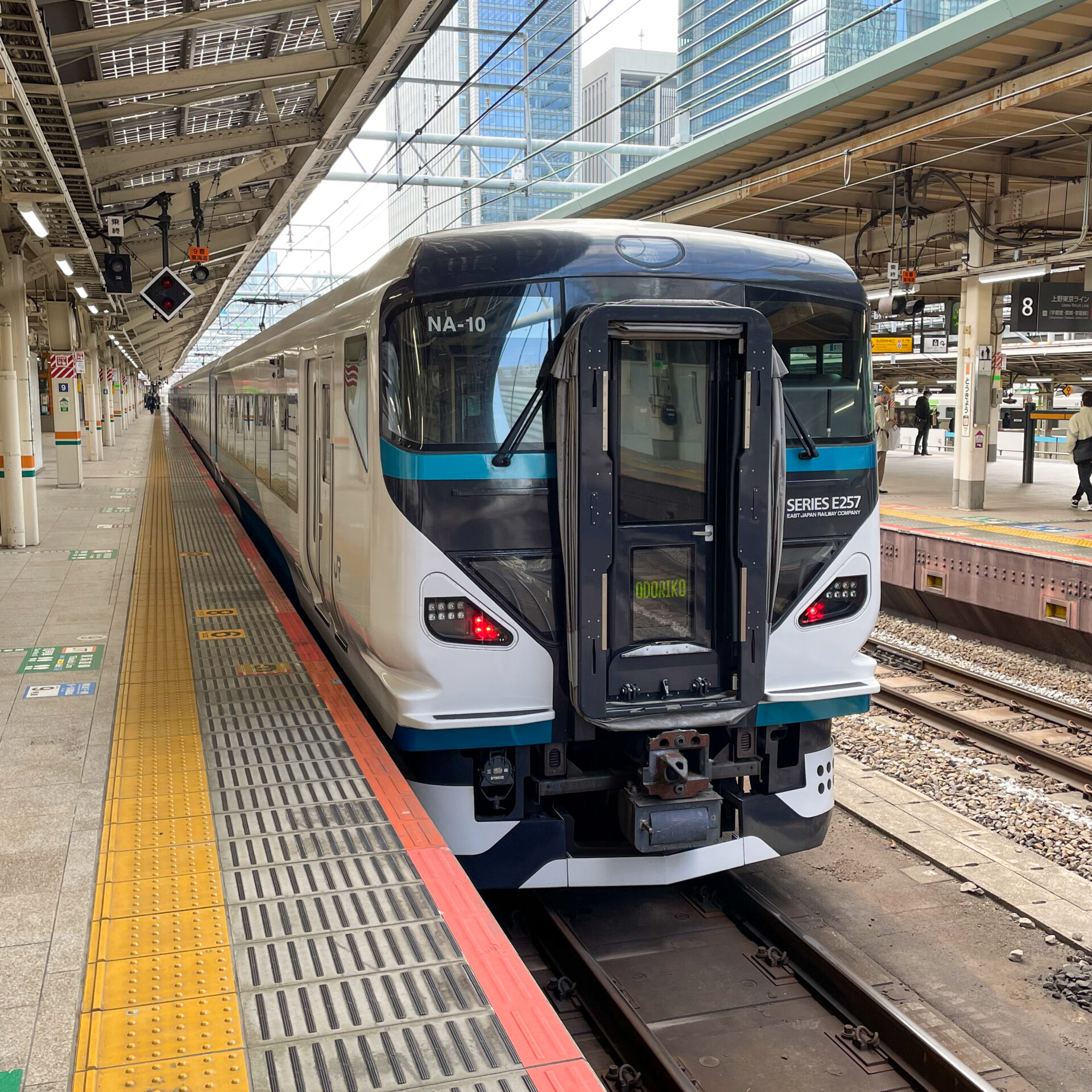 特急踊り子号E257系東京駅にて