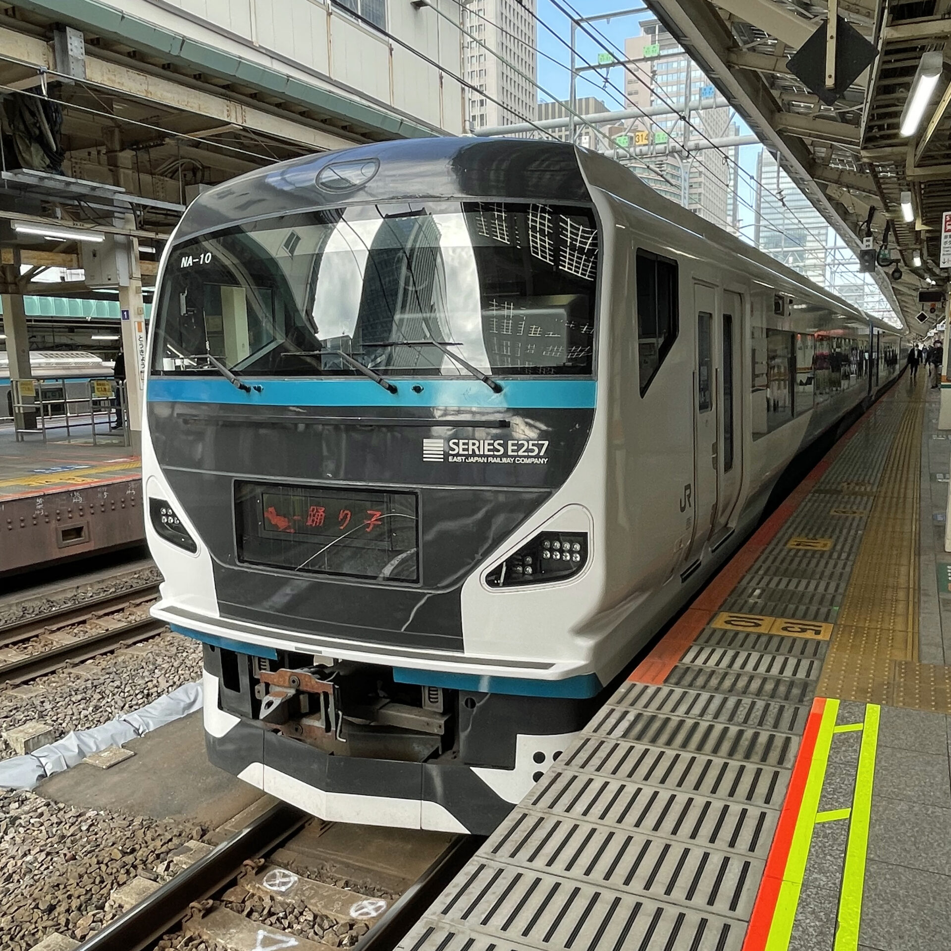 特急踊り子号東京駅にて