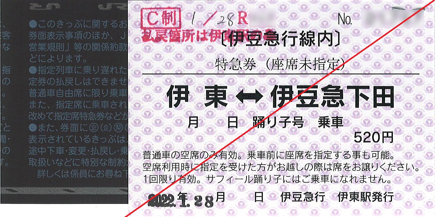 伊東駅から伊豆急下田駅ゆき特急券