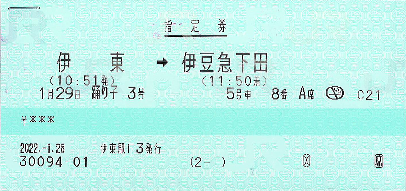 伊東駅から伊豆急下田駅ゆき特急券