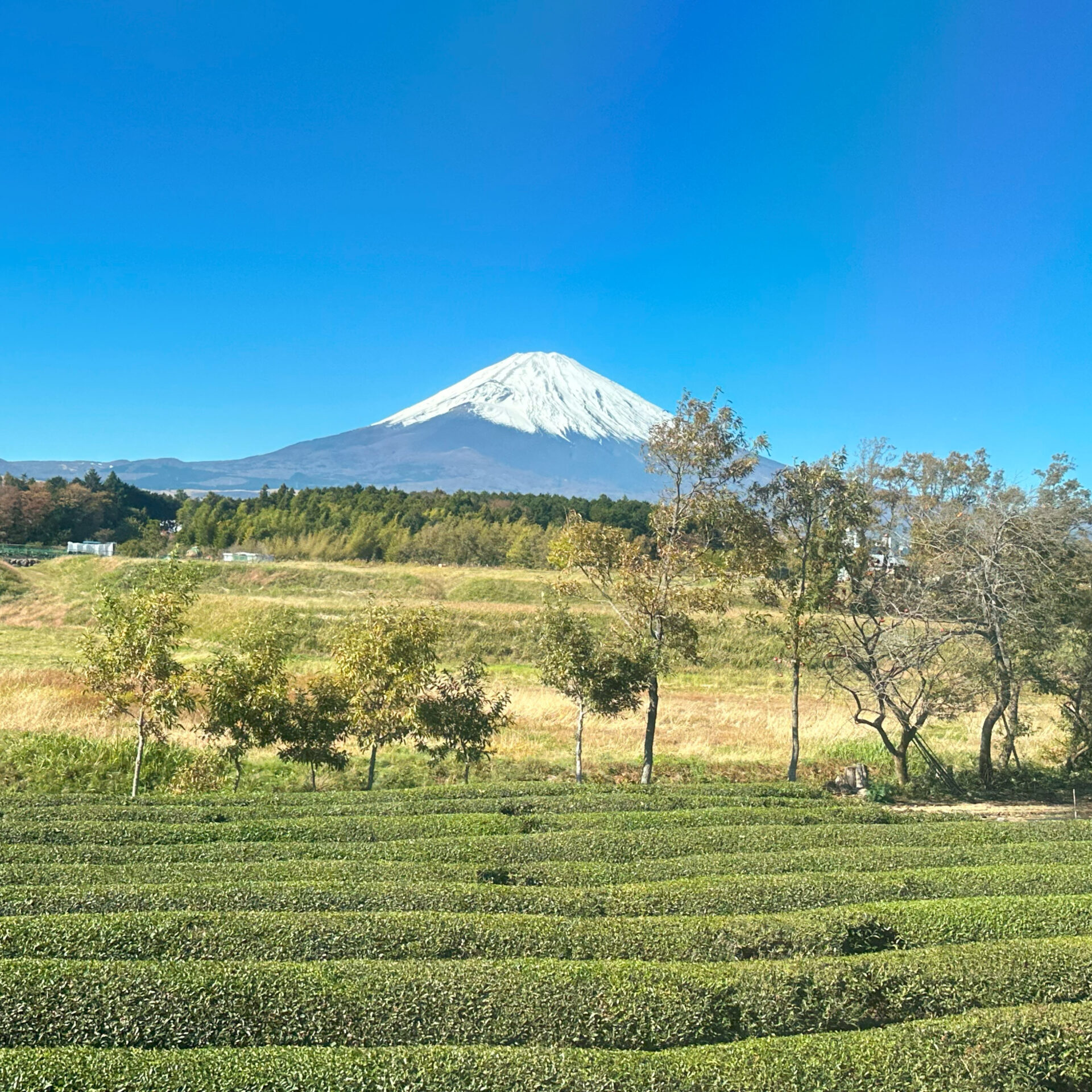 御殿場線車窓から望む富士山