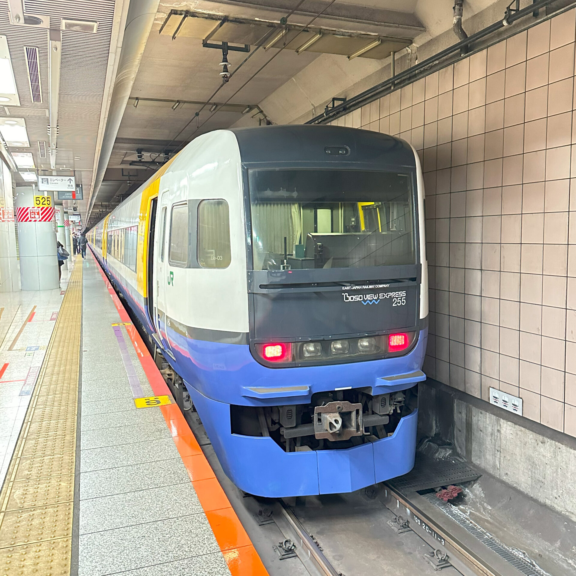 特急わかしお号東京駅にて