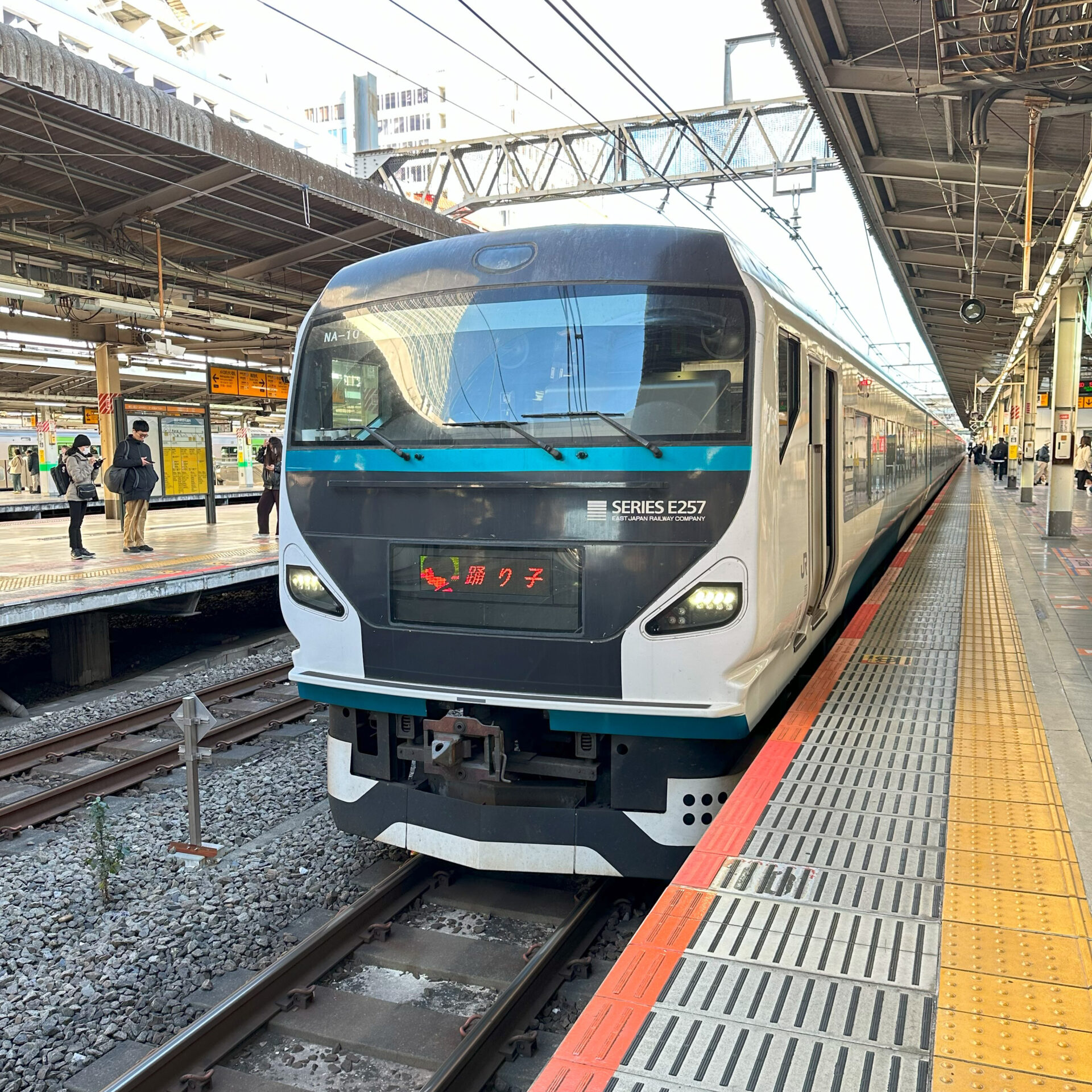 特急踊り子号池袋駅にて