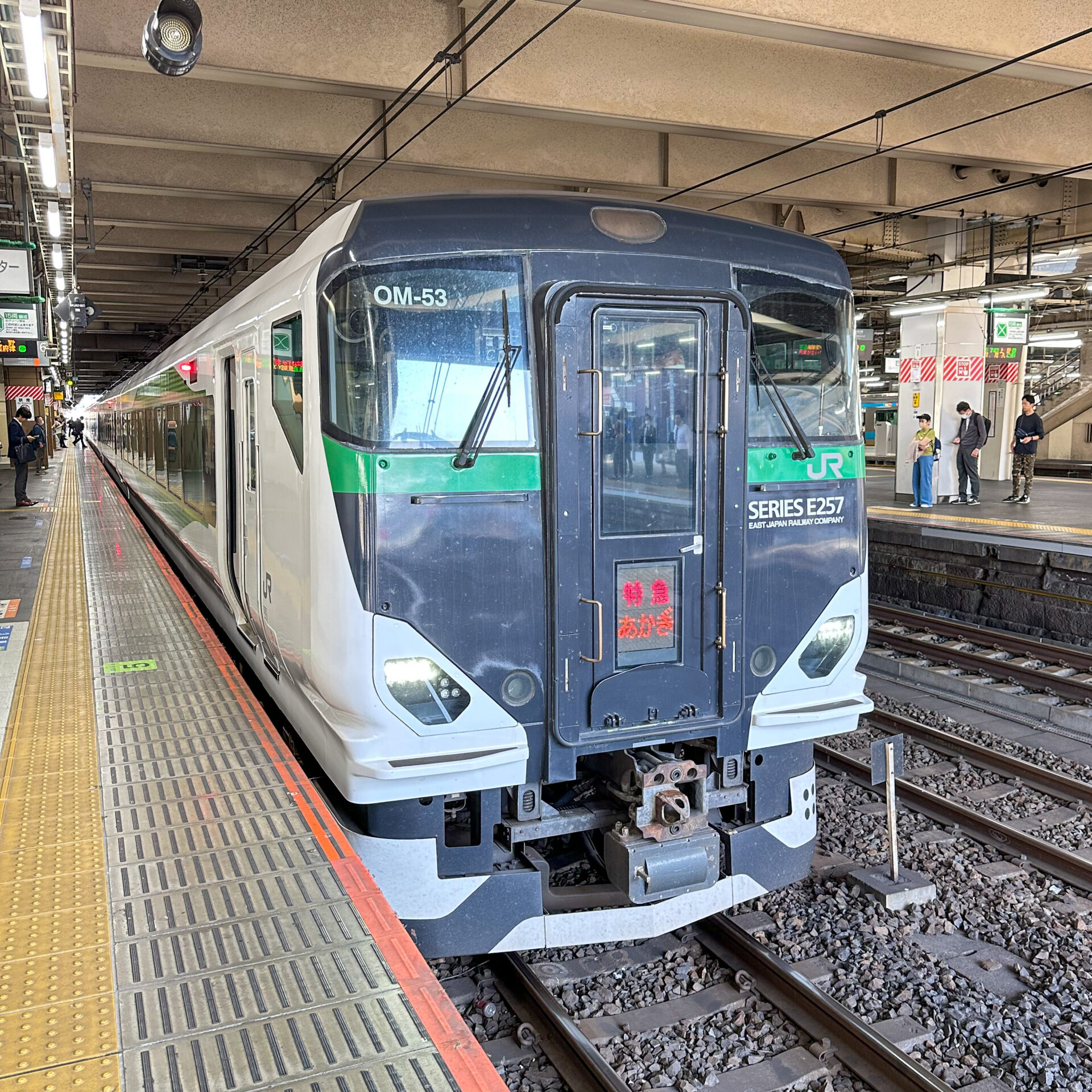 特急あかぎ号大宮駅に入線