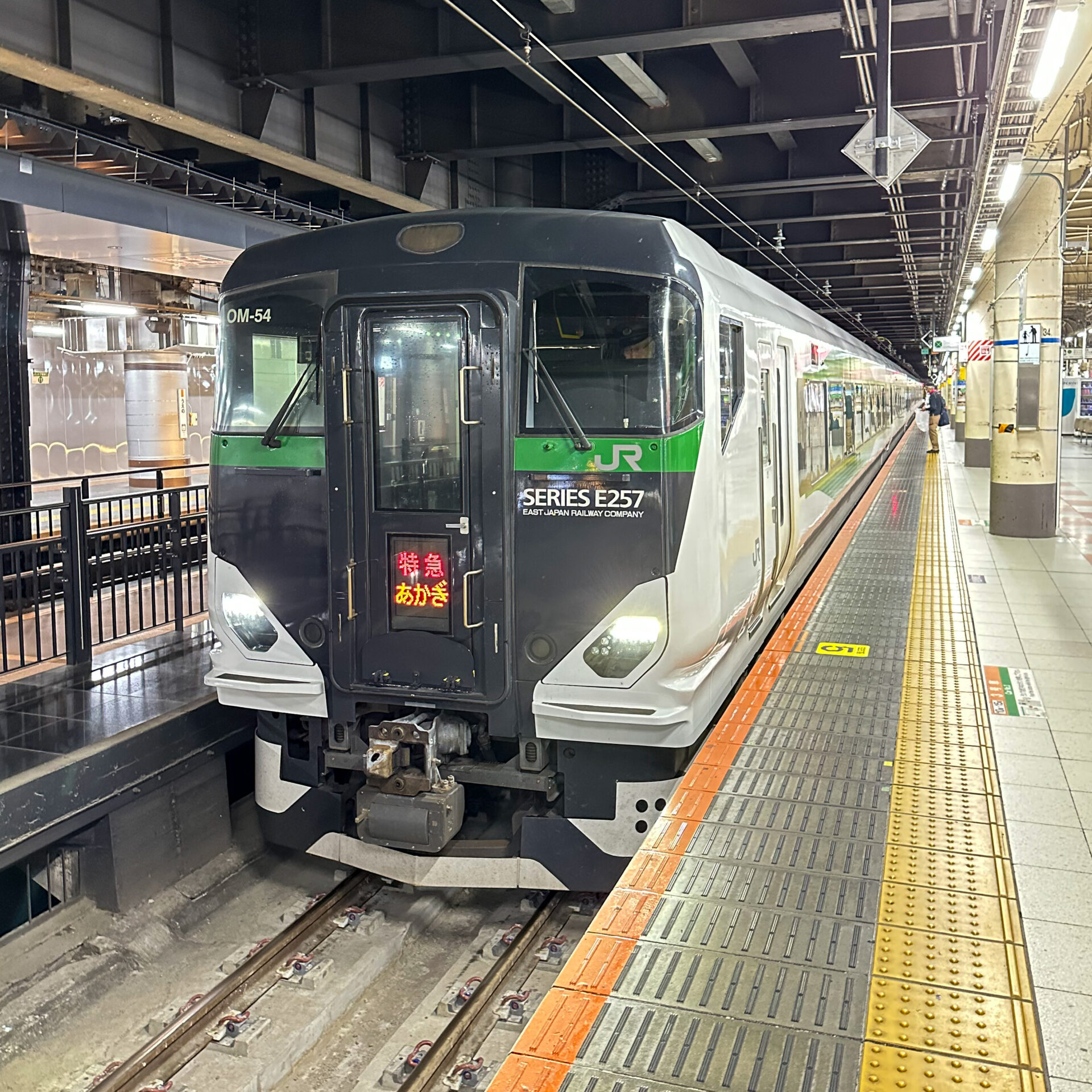 特急あかぎ号上野駅に入線