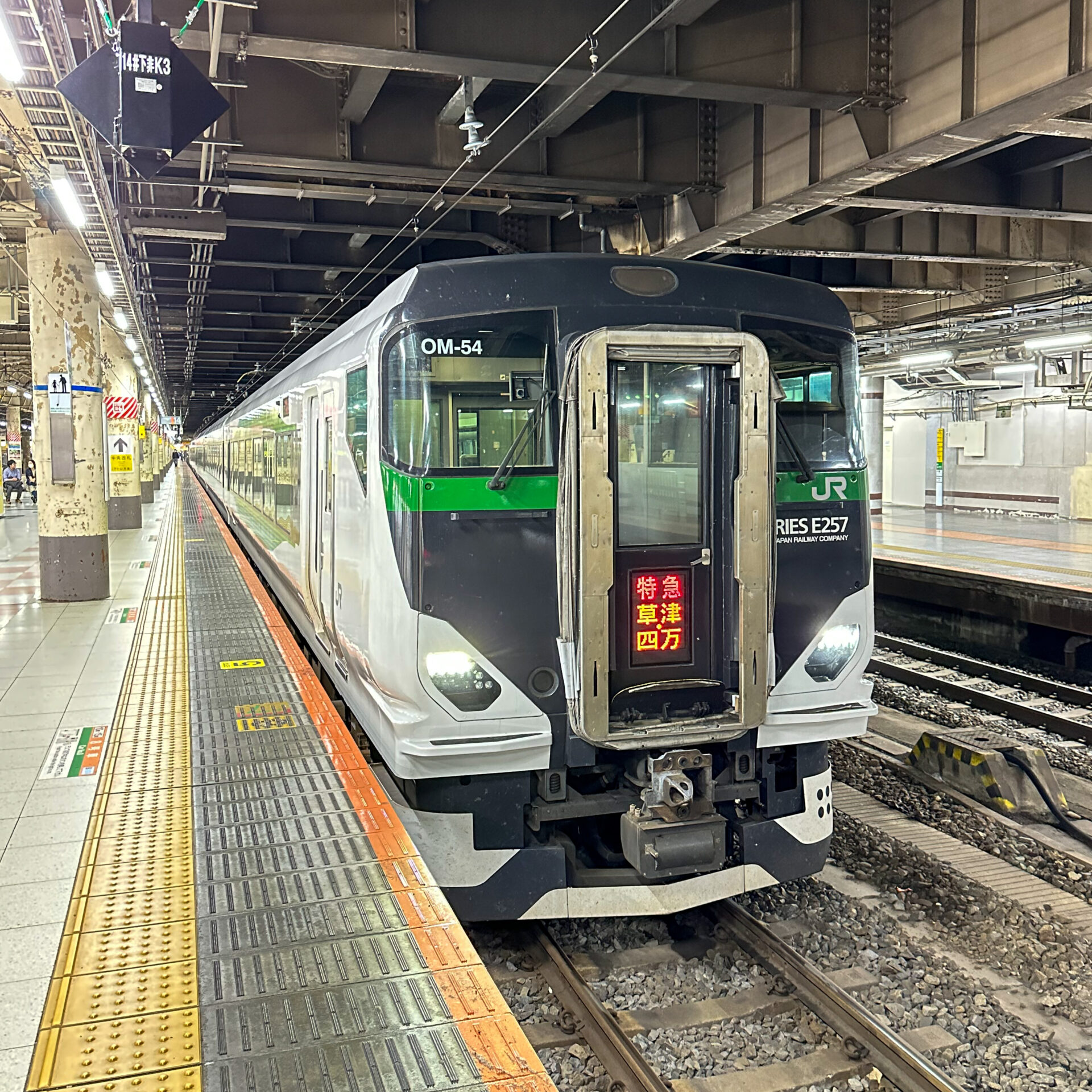 E257系電車上野駅にて