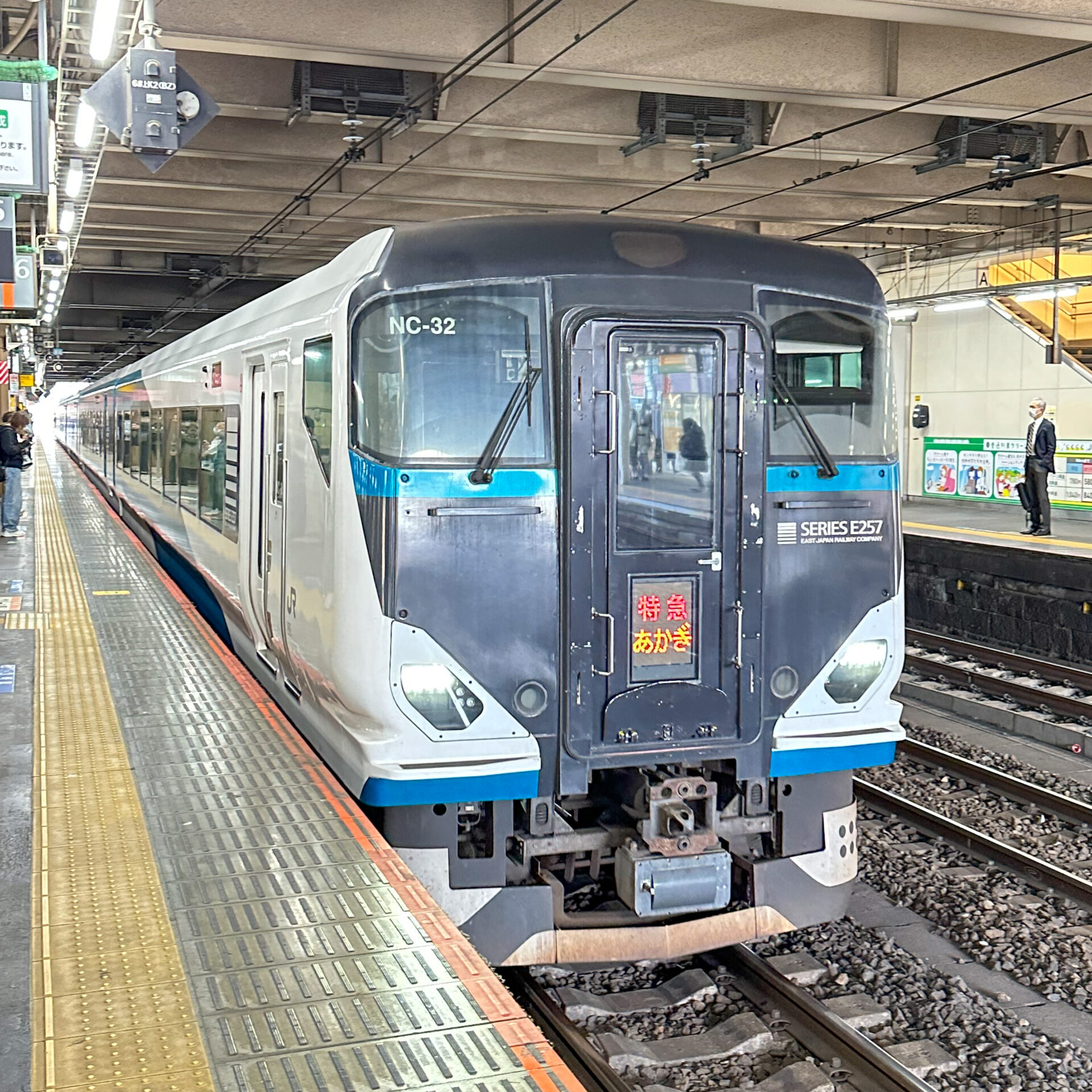 E257系電車大宮駅にて